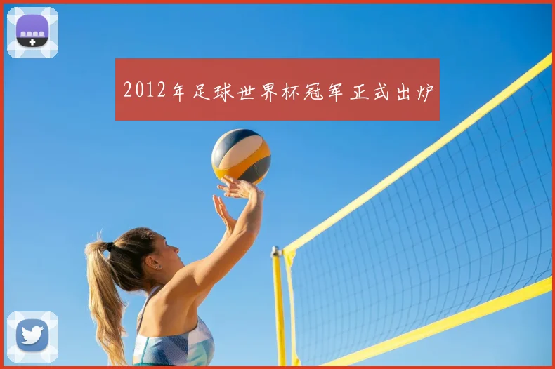 2012年足球世界杯冠军正式出炉