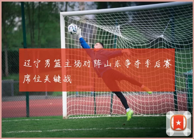 辽宁男篮主场对阵山东争夺季后赛席位关键战